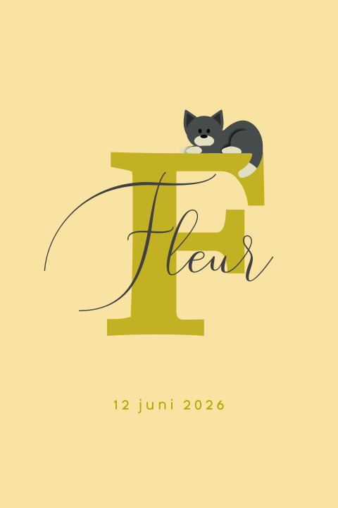 typografie-kat