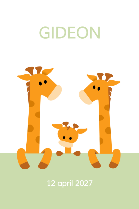 drie-giraffen-naast-elkaar