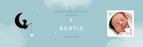 Drieluik geboortekaartje silhouet maan sterren foto