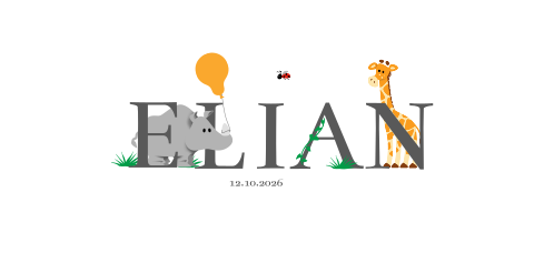 neushoorn giraffe aap ballon tekst