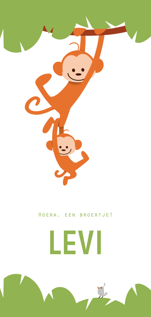 Geboortekaartje twee apen hangend aan tak