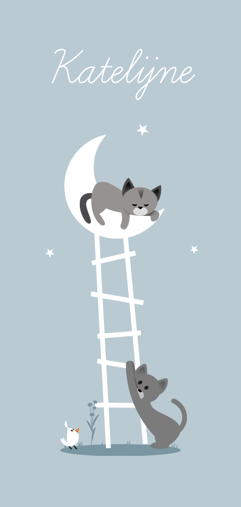 Geboortekaartje twee katten ladder