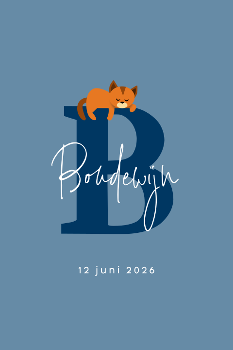 kat-typografie-enkel