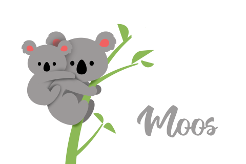 twee broertjes koala