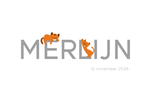 Geboortekaartje twee katten typografie