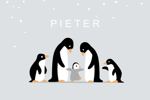 Geboortekaartje vijf pinguïns