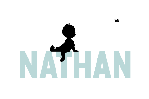 Geboortekaartje jongen naam typografie silhouet