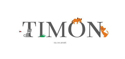 Geboortekaartje drie katten letters