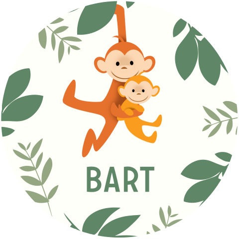 Geboortekaartje twee aapjes rond jungle