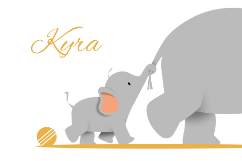 Geboortekaartje kleine olifant achter grote olifant