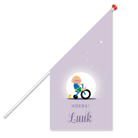 Geboortevlag jongetje op fiets