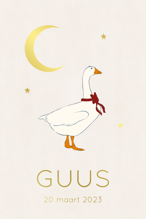 Geboortekaartje gans beige