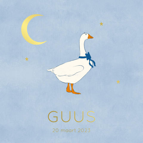 Geboortekaartje gans lichtblauw