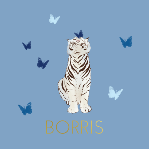 Geboortekaartje witte tijger en vlinders blauw