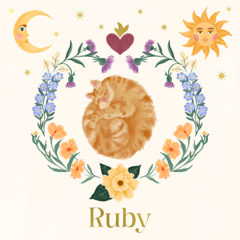 Geboortekaartje poes en bloemen