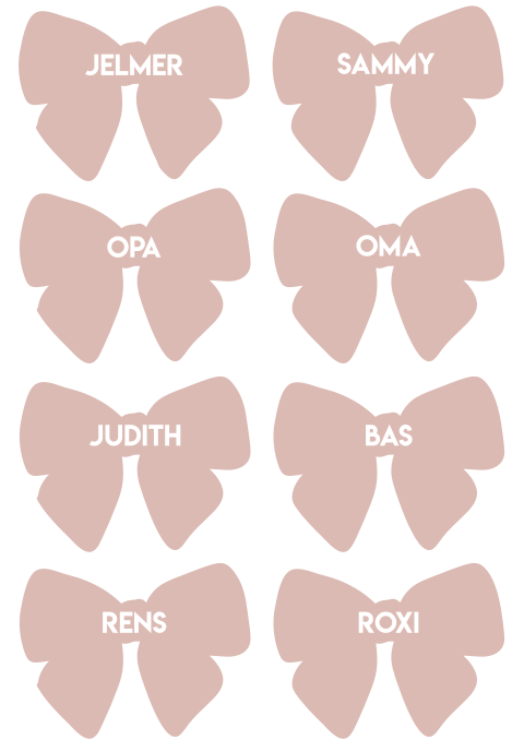 Naamkaartjes strik blush roze wit