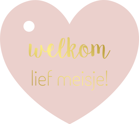 Label hartje 4,5x4 cm roze
