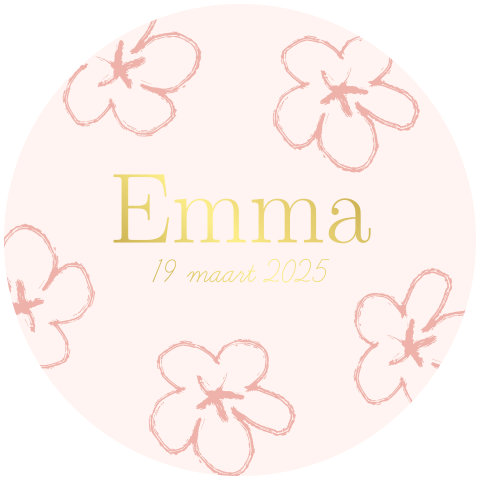 Geboortekaartje Stans rond bloemen