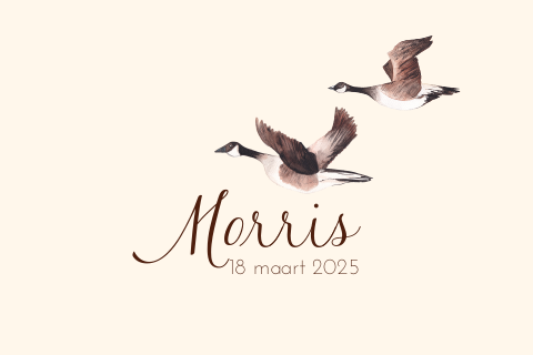 Geboortekaartje ganzen