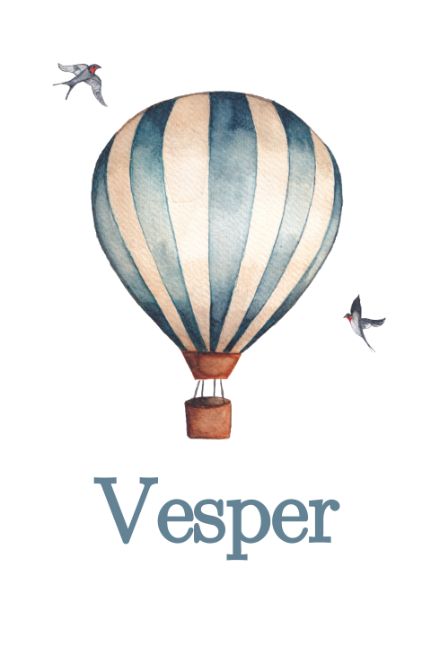 Geboortekaartje Luchtballon blauw