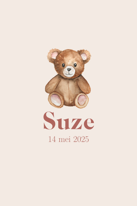Geboortekaartje Teddybeer