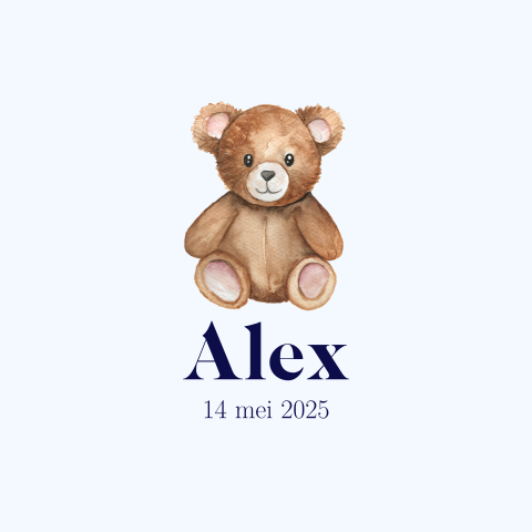 Geboortekaartje Teddybeer Jongens