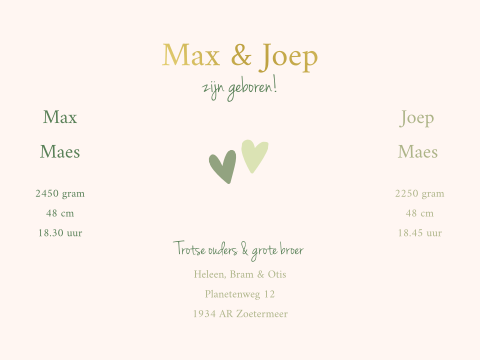 Geboortekaartje Theater vouw Tweeling hartjesprint