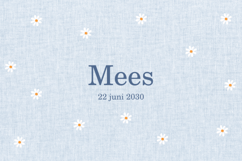 Enkel geboortekaartje met madeliefjes blauw