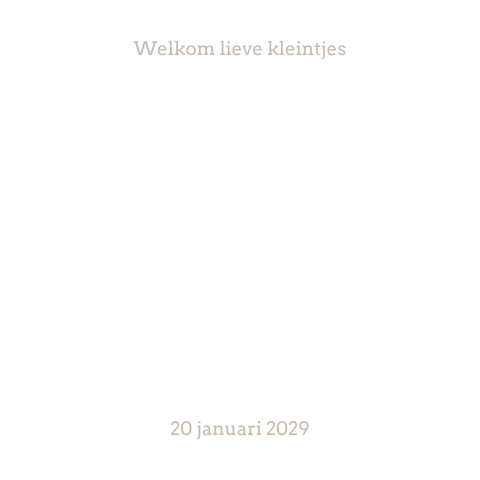 Tweeling geboortekaart met doorkijk naar twee jongens