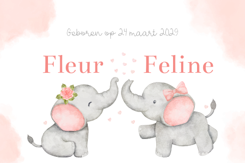 Geboortekaartje tweeling olifantjes meisjes
