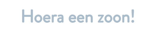 Label hoera een zoon! 16 stuks 85x20mm