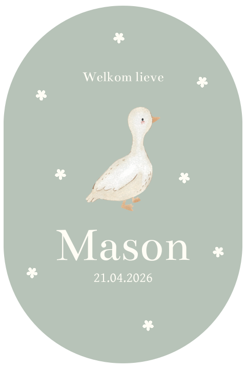Geboortekaartje ovaal groen met gansje