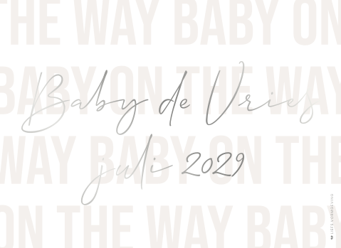Wijnetiket liggend | 5 stuks baby on the way zilver