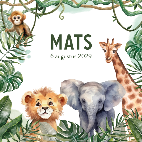 Geboortekaartje jungle safari dieren met bladeren