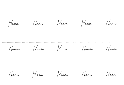 Naamkaartjes Gevouwen Sierlijk
