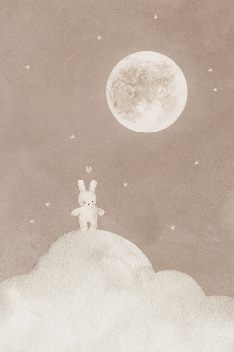Poster kinderkamer babykamer vollemaan wolk knuffelkonijn 40x60cm
