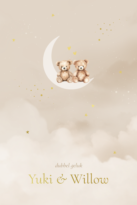Prachtig tweeling geboortekaartje knuffelbeertjes maan wolken folie