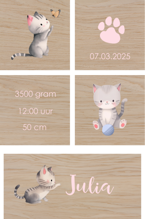 Houten blokken met katten en geboortegegegevens