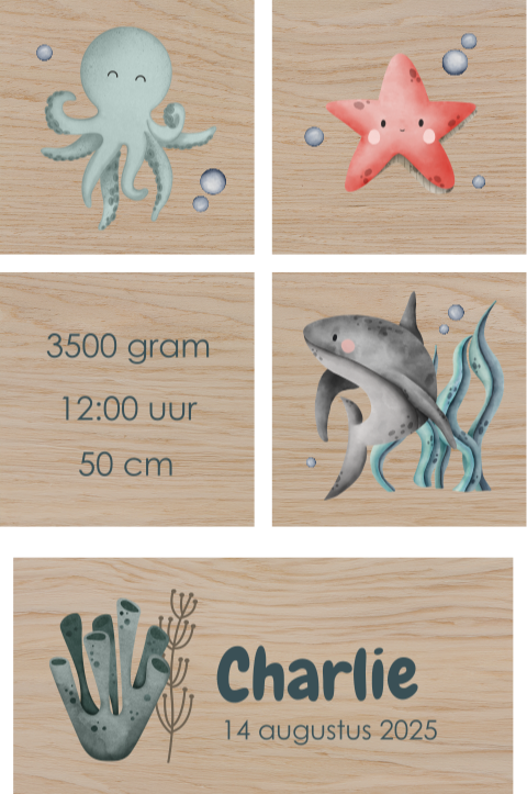Houten blokken met zeedieren en geboortegegevens
