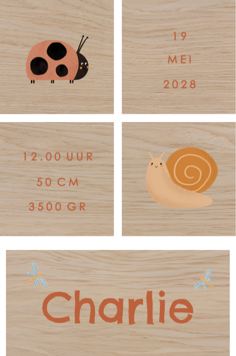 Houten blokken met naam en lieve diertjes