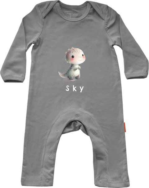 Baby boxpakje met naam en dino