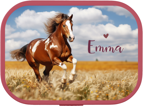 Stoere lunchbox campus met paard en naam