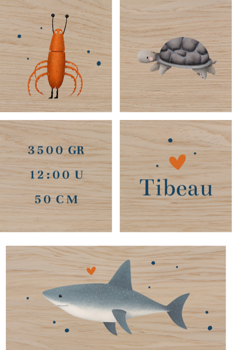 Houten geboorteblokken met zeedieren en geboortegegevens