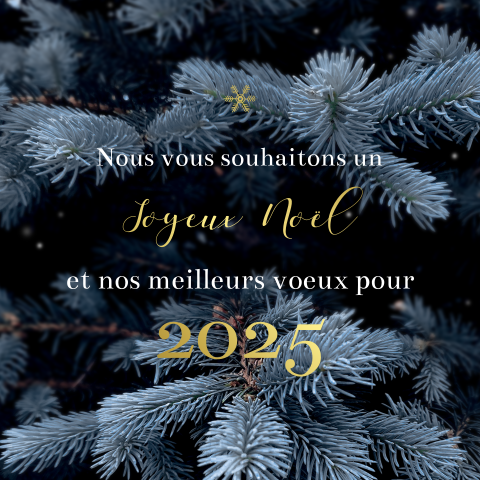 Carte de Noël avec un flocon de neige et des dorures