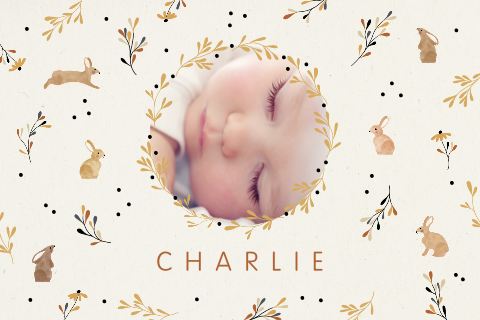 Faire-part de naissance avec des mignons lapins et branchages