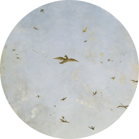 Kreis Alu-Dibond Vögel -> Cercle en Alu-Dibond Oiseaux