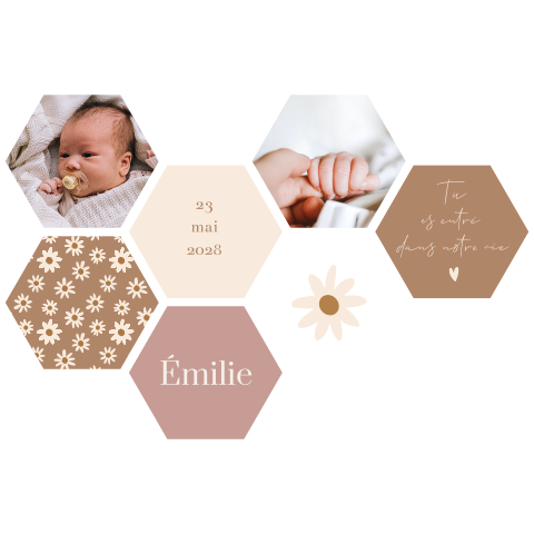 Décoration murale hexagonale avec photos, texte et fleurs