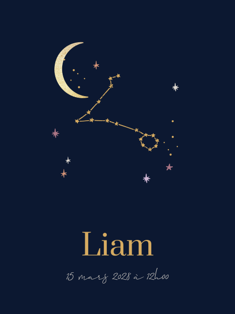 Affiche pour la chambre de bébé avec le signe astrologique Poisson