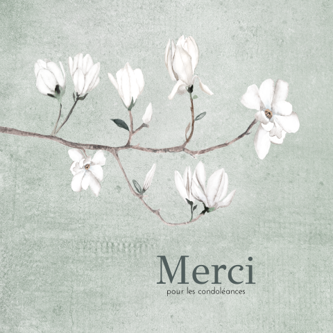 Carte de condoléances avec branche de magnolia