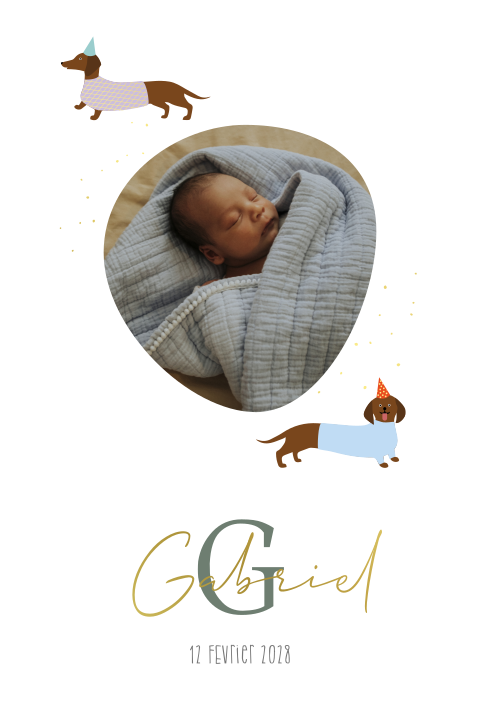 Faire-part de naissance "Petit Teckel" avec photos et dorure